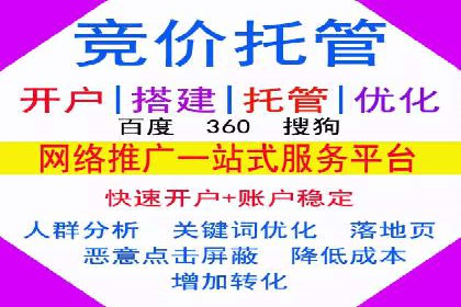 成功运用SEM技术提升网站流量的案例研究